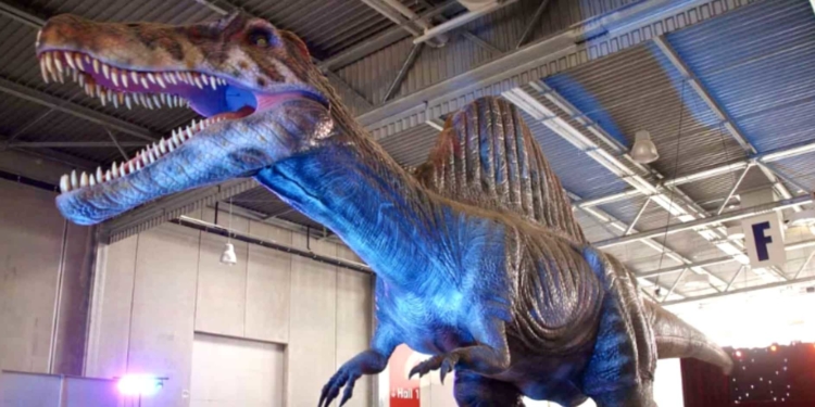 Les dinosaures débarquent au Parc Expo de Montpellier !