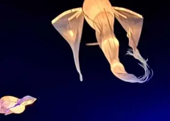 Danse aérienne et lumineuse à Palavas-les-Flots