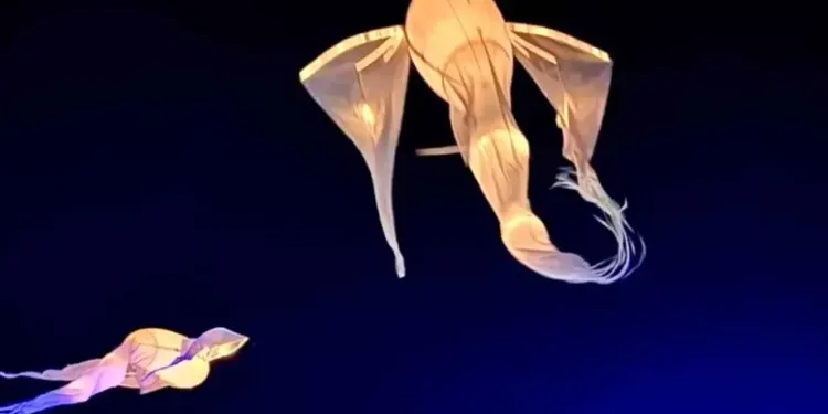 Danse aérienne et lumineuse à Palavas-les-Flots