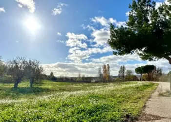 Du grand soleil jusqu’à Noël !