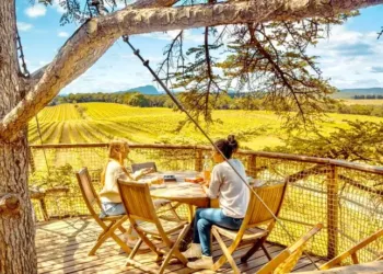 Gagnez votre nuit dans une cabane du domaine de l’Arbousier