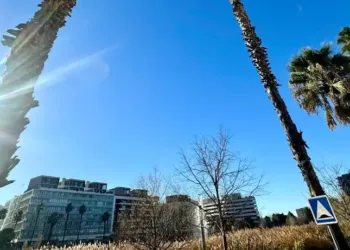 Montpellier : 17° pour ton 25 décembre !