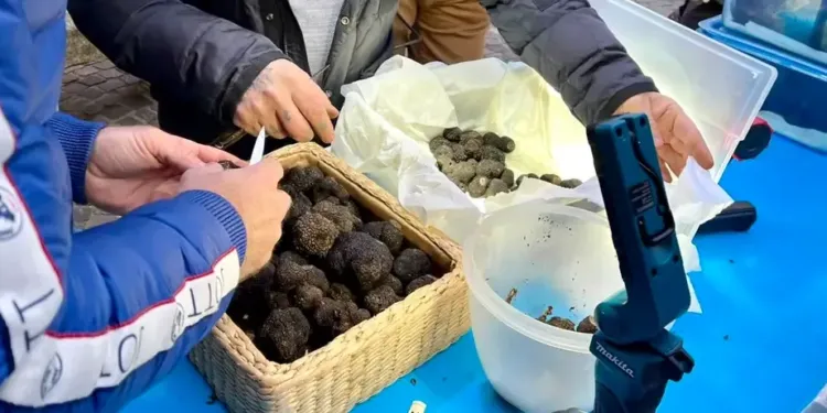 Grimpe à petit prix lors de la “Faîtes de l’escalade”