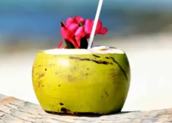 Les Caraïbes atterrissent au Parc des Expo 