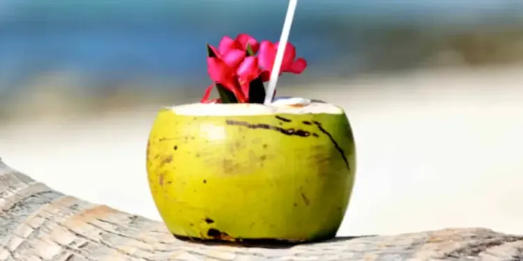 Les Caraïbes atterrissent au Parc des Expo 