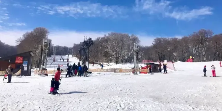 Luge et ski dès ce samedi à l’Aigoual !