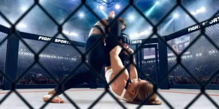 MMA-mania à la Sud de France Arena de Pérols