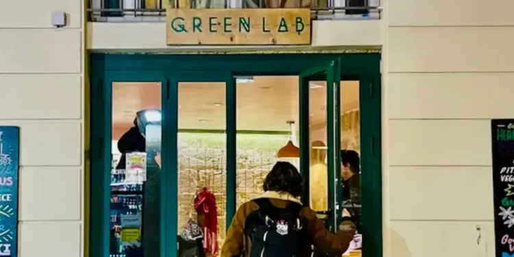 Montpellier : Green Lab, falafels et houmous au rendez-vous !