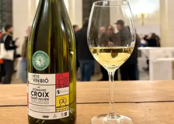 Montpellier : un nouveau festival autour du vin Bio