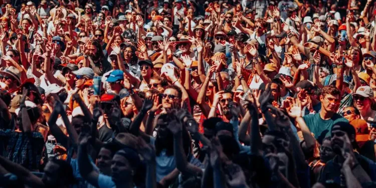 Palmarosa : les noms des premiers artistes dévoilés