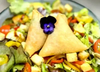 Top 6 des adresses veganes à Montpellier 