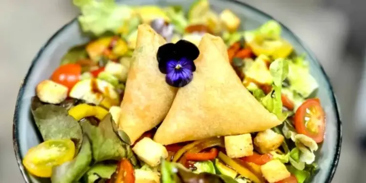 Top 6 des adresses veganes à Montpellier