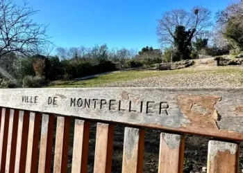 Toujours une météo de printemps en plein hiver