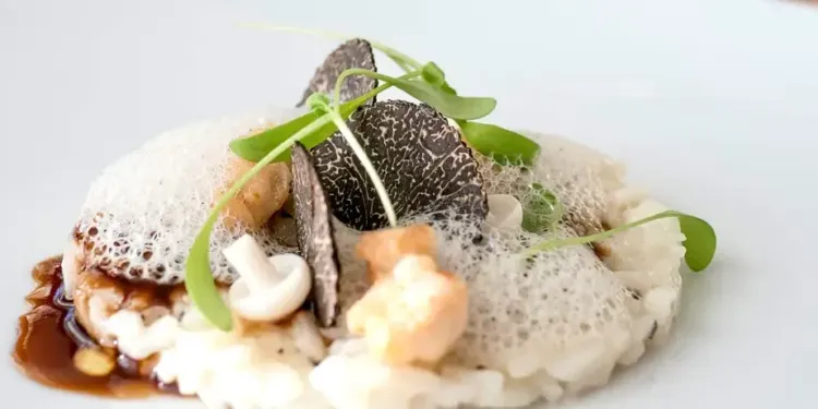 Une journée truffée à la Maison des Vins du Languedoc