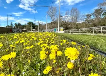 Météo : top vendredi, bof samedi et dimanche