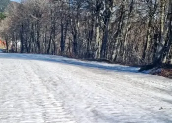 Luge à volonté sur les pentes d'Alti Aigoual