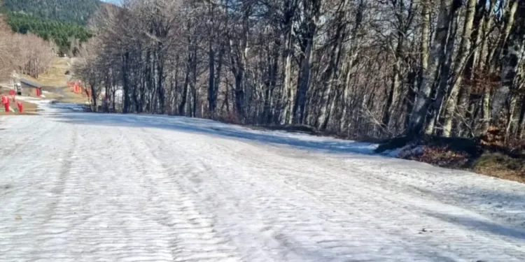 Luge à volonté sur les pentes d'Alti Aigoual