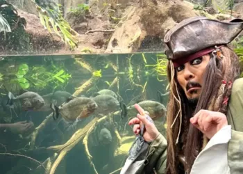 Montpellier : visite Planet Ocean avec le Pirate des Caraïbes