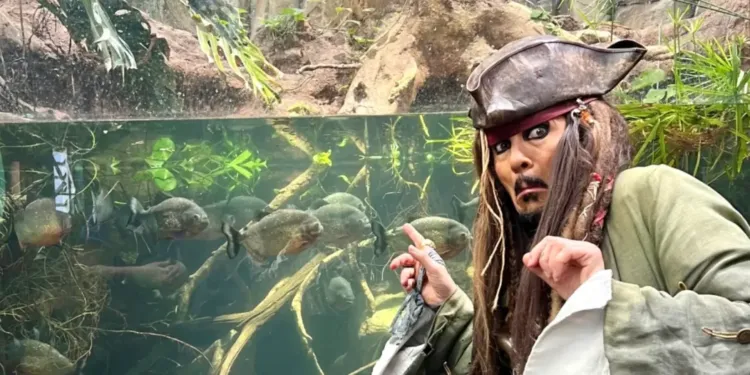 Montpellier : visite Planet Ocean avec le Pirate des Caraïbes