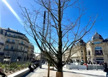 Une semaine beaucoup moins humide avec 19° mercredi