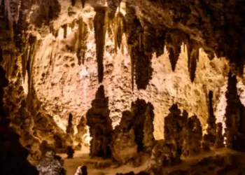 Assistez à la journée concerts de la grotte de Clamouse