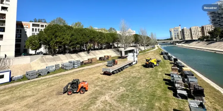Montpellier : les structures du Fise commencent à s’installer