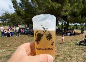 Une furieuse envie de bière ? Direction le parc Montcalm pour la fête des brasseries