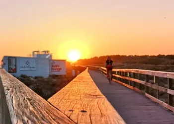 Des vélos californiens gratuits pour aller à la plage