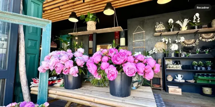 Montpellier : un nouveau fleuriste devant le Polygone