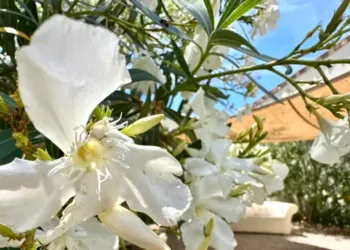 Météo : bof vendredi, top samedi et dimanche