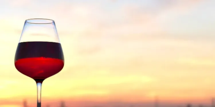 Top 7 des rendez-vous gourmands de l’été autour et à Montpellier