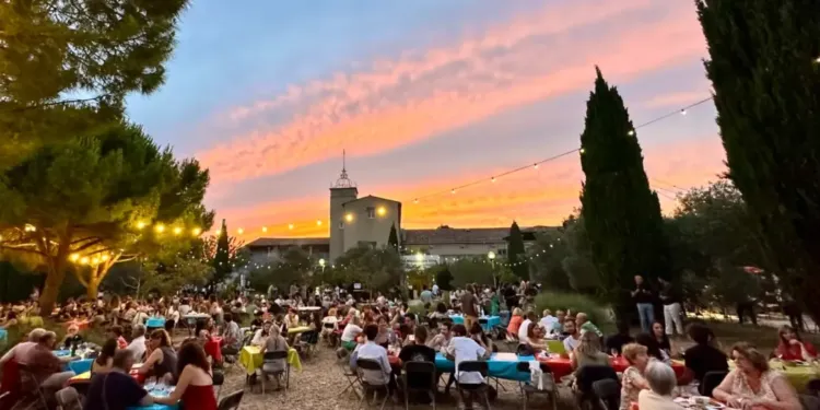 Les Estivales de l'AOP Languedoc : 20 ans de saveurs et de partage