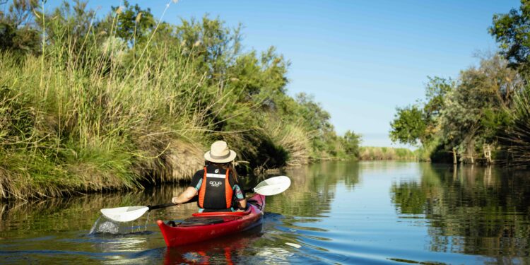 Découvrez l’Étang de l'Or, site Natura 2000 ,à pied, en calèche ou en kayak