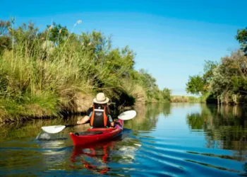Découvrez l’Étang de l'Or, site Natura 2000 ,à pied, en calèche ou en kayak