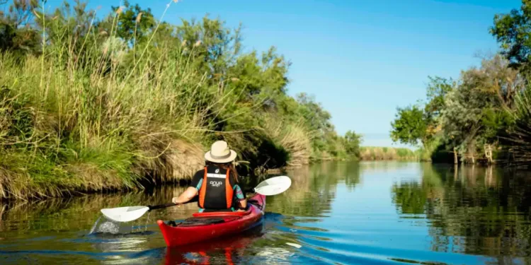 Découvrez l’Étang de l'Or, site Natura 2000 ,à pied, en calèche ou en kayak