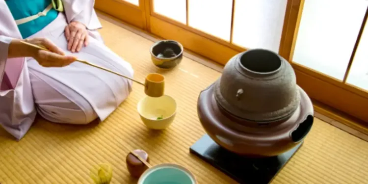 Explore l'essence du Japon au Nishiki Japan de Montpellier