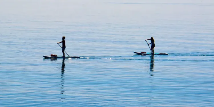 La paddle cup de Palavas : un événement sportif et solidaire
