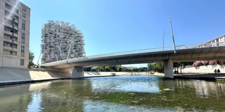 Montpellier championne des villes où il fait bon étudier