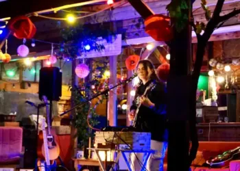 Montpellier : des concerts acoustiques dans une Oasis Citadine 
