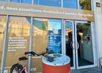 Montpellier : un pop-up store sur le vin ouvre sur la Comédie 