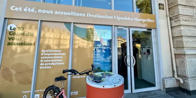 Montpellier : un pop-up store sur le vin ouvre sur la Comédie 