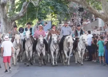 Replay : notre Live immersif au coeur d’un lâcher de 100 chevaux à Lunel