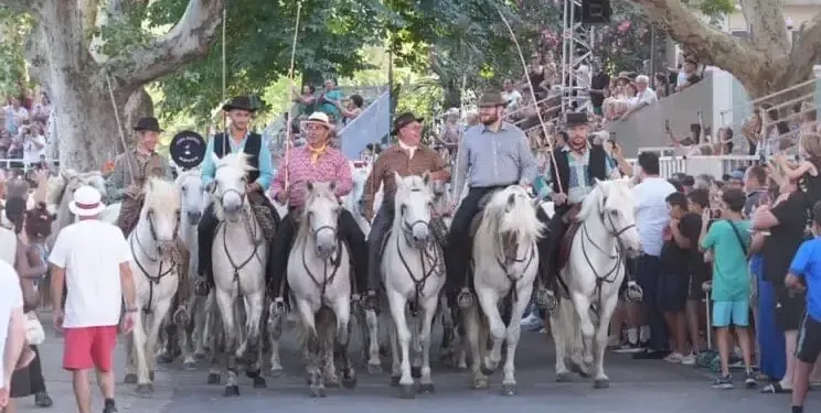 Replay : notre Live immersif au coeur d’un lâcher de 100 chevaux à Lunel