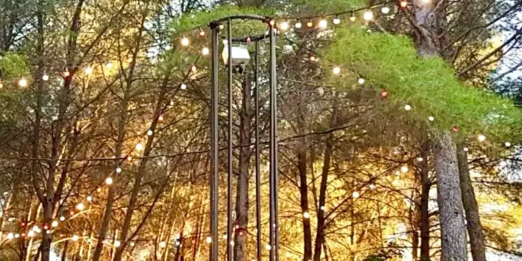 Tohu Bohu : 3 soirs dans la pinède du domaine d’O