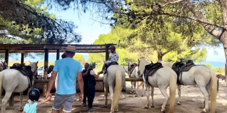 Une promenade à cheval dans les bois des Aresquiers