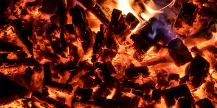 Braise, l’art de la flamme et du vin à Montpellier