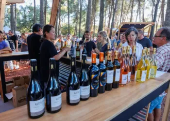 O’Millésimes : deux soirées festives autour du vin au Domaine d’O à Montpellier