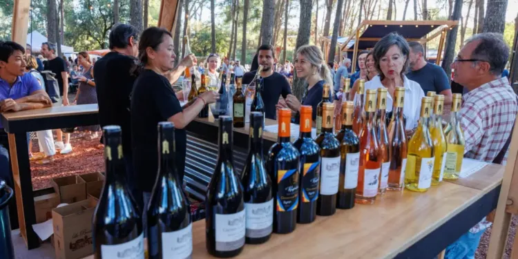 O’Millésimes : deux soirées festives autour du vin au Domaine d’O à Montpellier