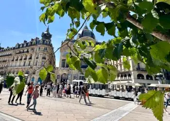 Montpellier : Top 6 des lieux préférés des célibataires