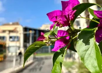 Soleil pour tout le week-end à Montpellier